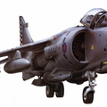 air UK Sea Harrier Pictorial
