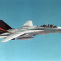 F14D31CAP