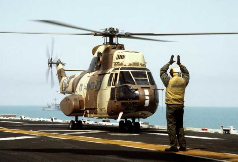 army_French_Puma_Gulf_War.jpg