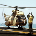 army French Puma Gulf War