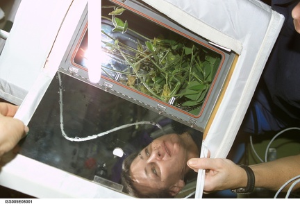 iss005e08001