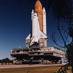 sts-81