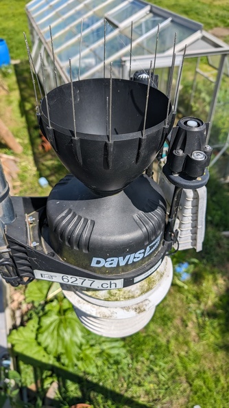PXL_20240525_091008410.RAW-01.COVER.jpg