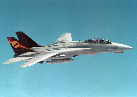 F14D31CAP